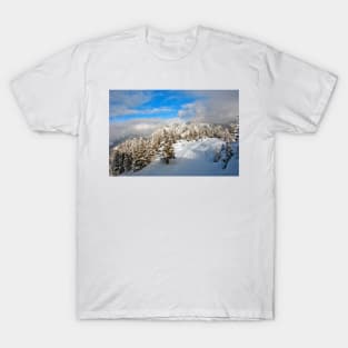 Courchevel 3 Valleys French Alps France T-Shirt